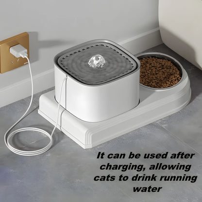 Automatic Cat Water Fountain and Food Bowl 2 IN 1 Set USB Cable Powered Quiet Pet Water Dispenser with Smart Water Pump for Cat