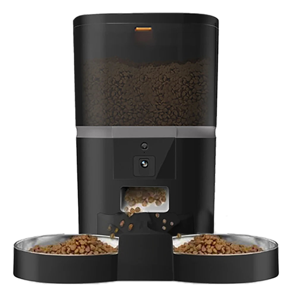 50465077166420